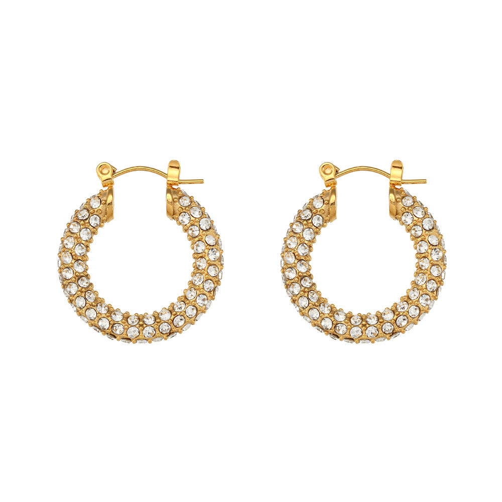 E005 Earings