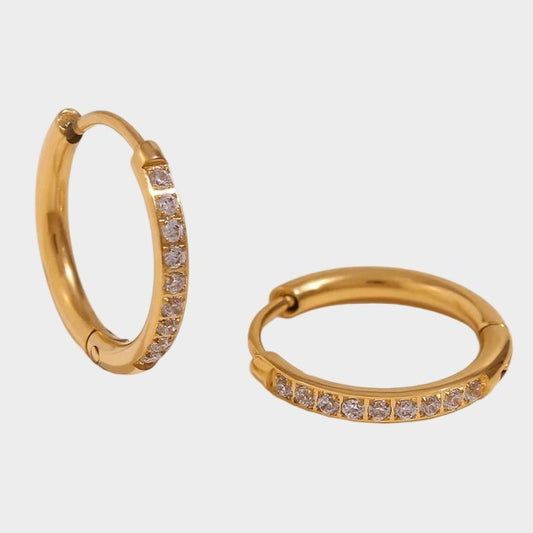 E023 Earings