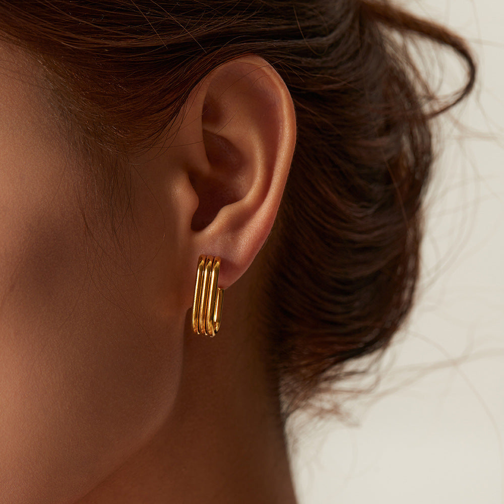 E039 Earings