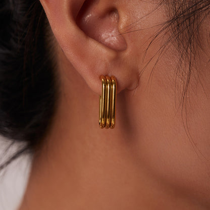 E039 Earings