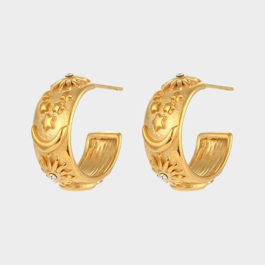 E002  Earings