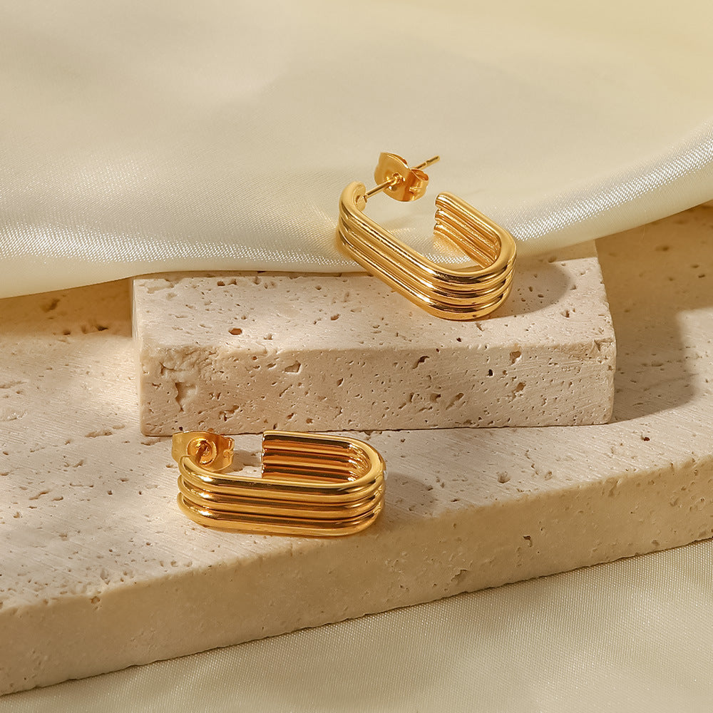 E039 Earings