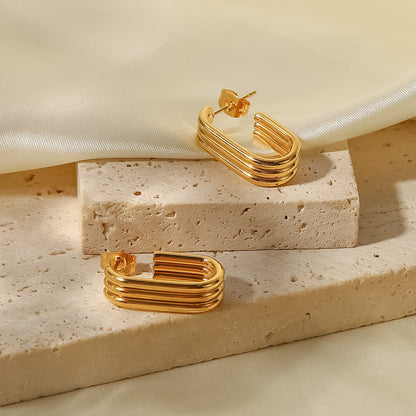 E039 Earings