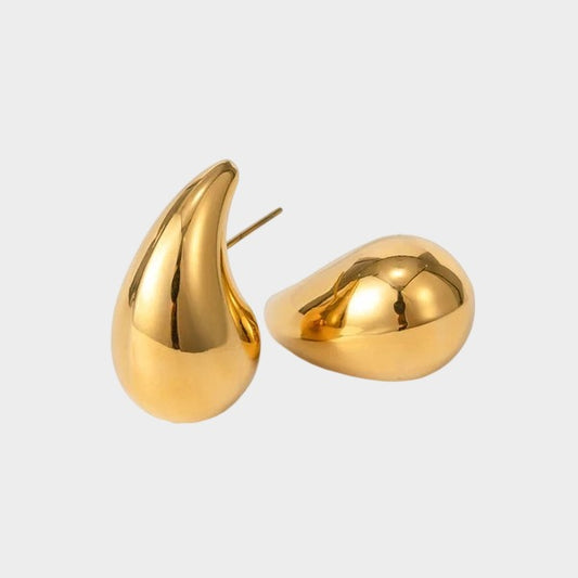 E009 Earings