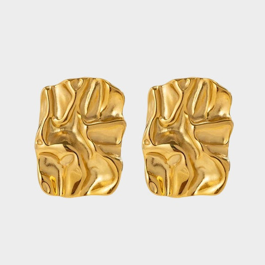 E019  Earings