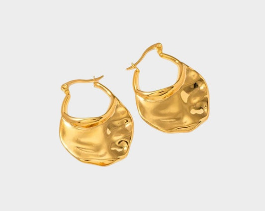 E018  Earings