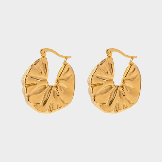 E017  Earings